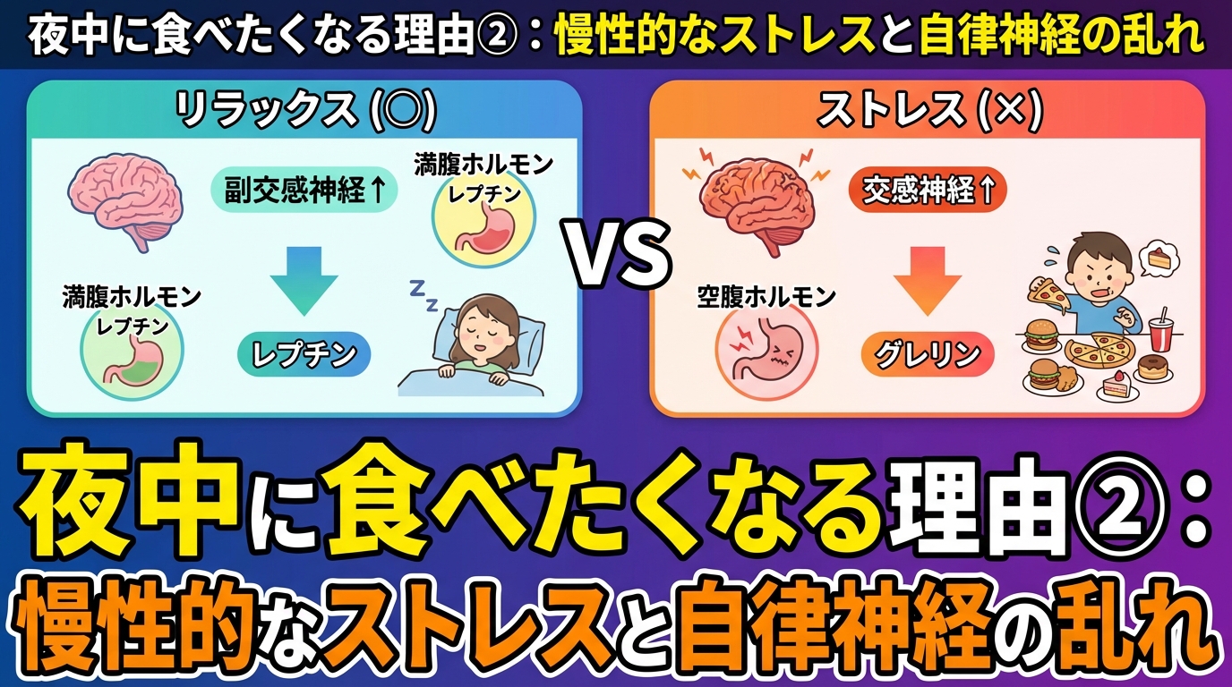 夜中に食べたくなる理由とは？食欲が止まらない本当の原因と対策に関する図解3