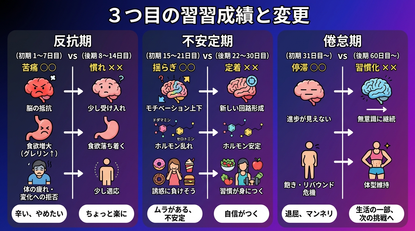習慣化の3つの段階と各期間で起こる変化の図解